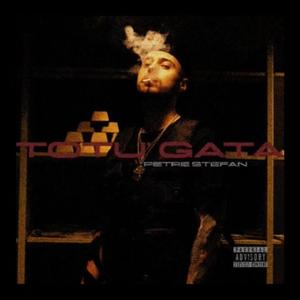 TOTU GATA (feat. Petre Stefan) [Explicit]