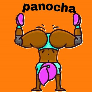 Panocha