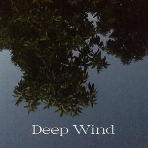 Deep Wind