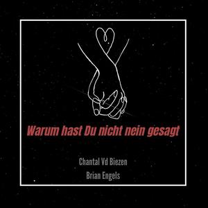 Warum hast Du nicht nein gesagt (Club Mix)