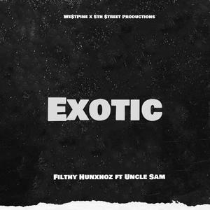 Exotic (feat. Uncle Sam) [Explicit]