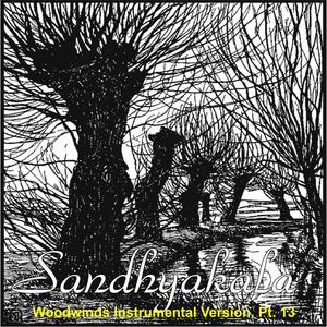 Sandhyakala Woodwinds Instrumental (Acoustic Guitar etc, A Duduk, Alto Chalumeau & Bass Recorder Version)