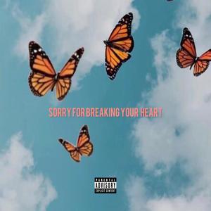 SORRY FOR BREAKING YOUR HEART (Explicit)