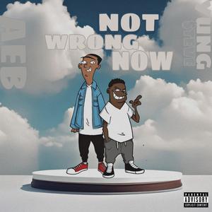 Not Wrong Now (feat. AEB.) [Radio Edit] [Explicit]