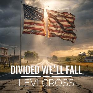 Divided We'll Fall