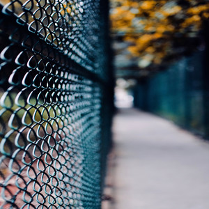 Fences (Explicit)