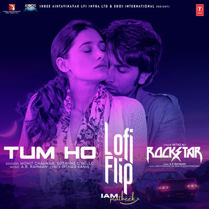Tum Ho Lofi Flip