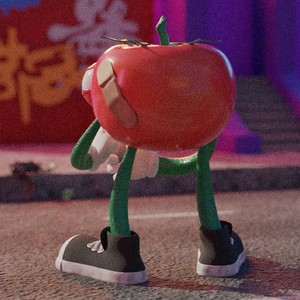 airplane neck pillow