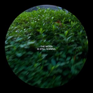 ムーンゲイザー (feat. 初音ミク)