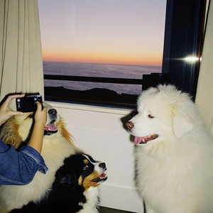 陪你看星星-looolooo