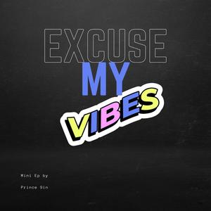Excuse My Vibes (Explicit)