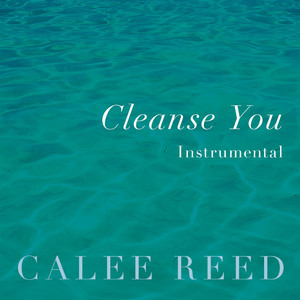 Cleanse You (Instrumental)