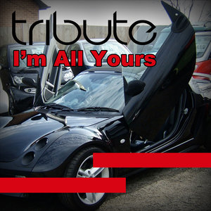 I'm All Yours (Jay Sean Feat. Pitbull Tribute)