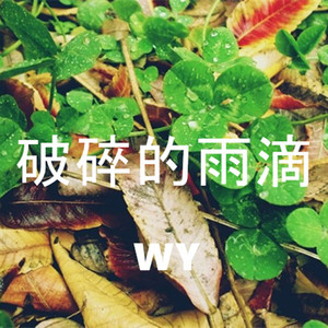 破碎的雨滴