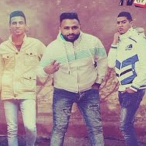 فرحة حمو حمدى