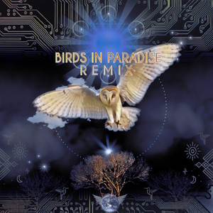 Birds in Paradise (Remix)