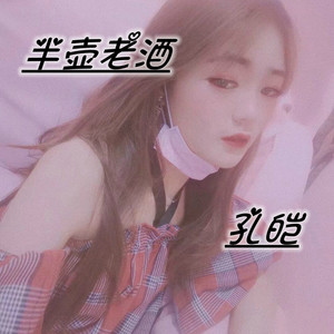 半壶老酒