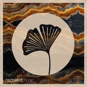 Boka Negra (Irenee S Extended Remix)