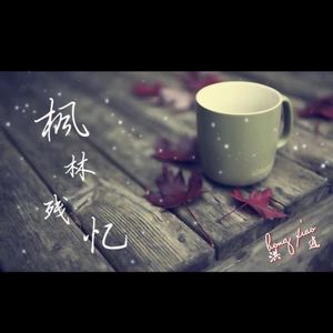 卑微到最后有多痛