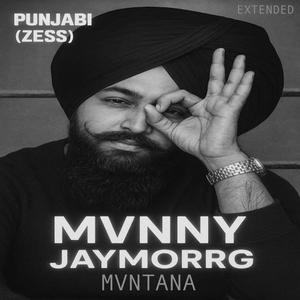 Punjabi (Zess) (Explicit)