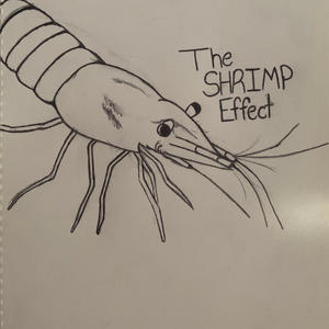 The Shrimp Effect