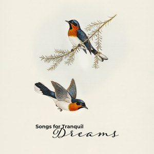 Songs for Tranquil Dreams: Calming Sounds of Nature Connected With Instrumental Soft Piano & Guitar Melodies, Stress Relief, Songs for Insomnia Cure, Deep Gentle Dreams, Peaceful New Age Music 2019, Rest & Relax