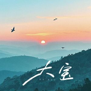 大宝 (伴奏)