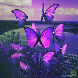 Butterflies (feat. Luh Sant) (Explicit)