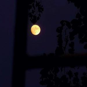 如果这都不算爱.mp3