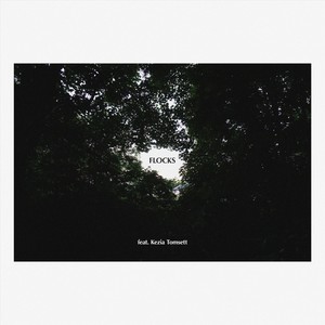 Flocks (feat. Kezia Tomsett)