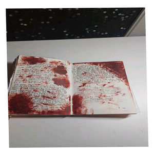 im sorry for my mistakes