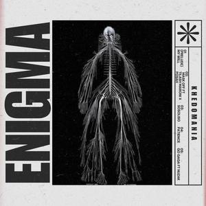 ENIGMA