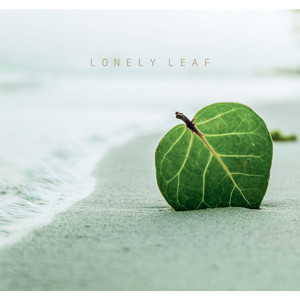 Lonely Leaf