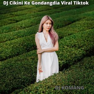 DJ Cikini Ke Gondangdia Viral Tiktok