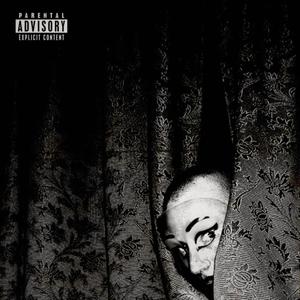 In The Way (feat. Hoodybeen) (Explicit)