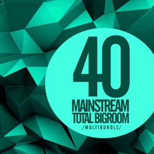 40 Mainstream Total Bigroom Multibundle