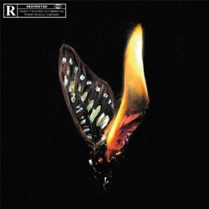 Papillon de nuit (Explicit)