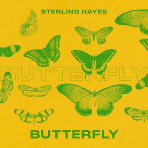 Butterfly(feat. Space Buddha) (Explicit)
