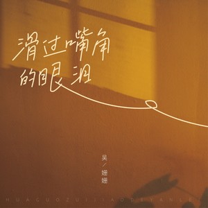 滑过嘴角的眼泪 (DJ小鑫版)