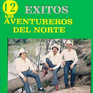 12 Exitos