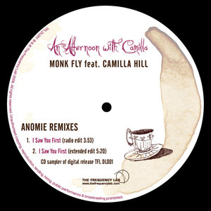 An Afternoon With Camilla - Anomie Remixes