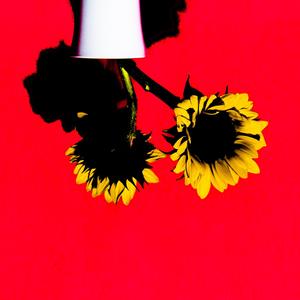 bello (versión acústica)