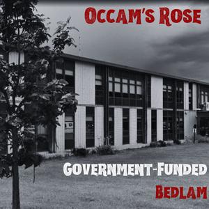 Government-Funded Bedlam