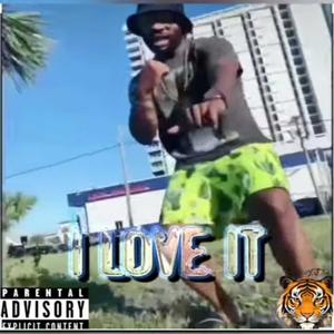 I Love It (Explicit)