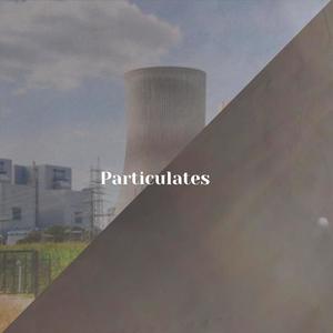 Particulates