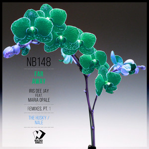 Far Away (The Husky Remix)