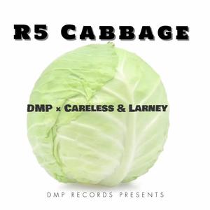 R5 Cabbage (feat. Careless & Larney)