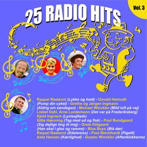 25 Radio Hits Vol. 3