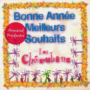 Bonne Année Meilleurs Souhaits (Remix club)