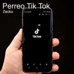 Perreo Tik Tok